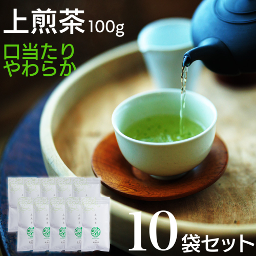 宮崎日本茶専門店 上煎茶100g 10本セット お茶 緑茶 ギフト お取り寄せ【D140】 2059698 - 宮崎県新富町