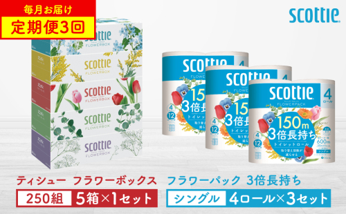 【定期便3回】【毎月1回お届け】【スコッティ】ティシュー フラワーボックス 250組（5箱パックx1セット）＋フラワーパック 3倍長持ち（4ロール(シングル)パックx3セット）ティッシュ トイレットペーパー 日用品 2059845 - 熊本県八代市