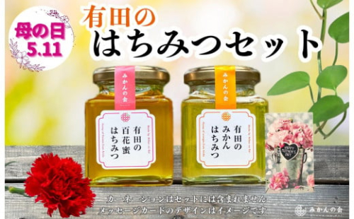 【母の日ギフト】有田のはちみつセット（みかん蜂蜜210g 百花蜂蜜210g 各1本）和歌山県産 産地直送【みかんの会】 2060379 - 和歌山県有田川町