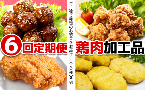 H8-2101/【6回定期便】鶏肉加工品 惣菜定期便 2060457 - 鹿児島県垂水市