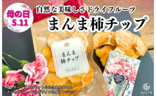 【母の日ギフト】まんま柿チップ 200g (40g × 5袋) ドライフルーツ  和歌山県産 果物使用 国内製造 【みかんの会】 2060458 - 和歌山県有田川町