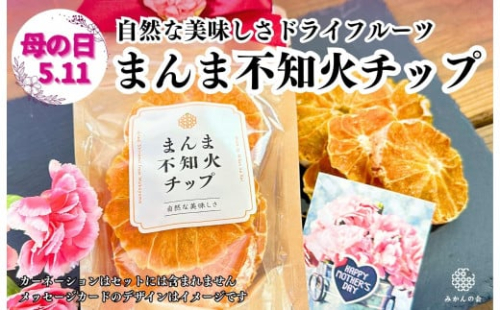 【母の日ギフト】しらぬい ドライフルーツ まんま不知火チップ 100g ( 20g × 5袋 )  和歌山県産 果物使用 国内製造 【みかんの会】 2060460 - 和歌山県有田川町