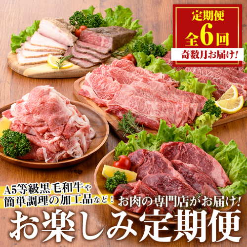 No.1246 ＜定期便・全6回(奇数月)＞お楽しみ！大人気の返礼品定期便 お試しコース(総重量5kg以上・ステーキ、霜降り焼肉、ローストビーフ等) 牛肉 黒毛和牛 和牛 ステーキ すき焼き しゃぶしゃぶ 焼肉 BBQ キャンプ 定期便 頒布会 A5 冷凍 ギフト 贈答【カミチク】 2060463 - 鹿児島県日置市