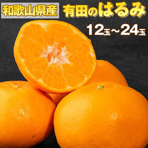 【産地直送】和歌山県産 有田のはるみ 12玉～24玉 ※2026年1月中旬～2月下旬頃に順次発送予定 2060619 - 和歌山県美浜町