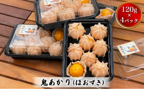 鬼あかり（ほおずき）120g×4パック ｜ 鬼灯 ホウズキ 特産品 ジャム フルーツ 愛媛県 鬼北町 ※2025年4月上旬～5月上旬頃に順次発送予定 2061060 - 愛媛県鬼北町