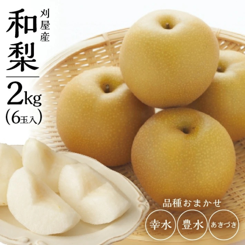 SA2565　酒田の果物専門店厳選　刈屋産 和梨　約2kg(6玉入)　品種おまかせ(幸水、豊水、あきづき) 2061153 - 山形県酒田市