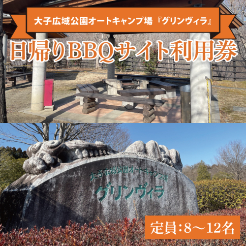 日帰りバーベキューサイト利用券(定員：8～12名)【大子広域公園オートキャンプ場 グリンヴィラ】｜アウトドア バーベキュー BBQ キャンプ グリンヴィラ 利用券 自然 日帰り 体験 旅行 茨城県 大子町(BQ004) 2061609 - 茨城県大子町