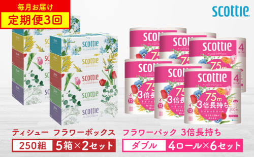 【定期便3回】【毎月1回お届け】【スコッティ】ティシュー フラワーボックス 250組（5箱パック×2セット）＋フラワーパック 3倍長持ち（4ロール(ダブル)パックx6セット）ティッシュ トイレットペーパー 日用品 2064023 - 熊本県八代市