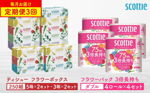【定期便3回】【毎月1回お届け】【スコッティ】ティシュー フラワーボックス 250組（5箱パック×2セット・3箱パック×2セット）＋フラワーパック 3倍長持ち（4ロール(ダブル)パックx4セット）ティッシュ トイレットペーパー 日用品 2064133 - 熊本県八代市