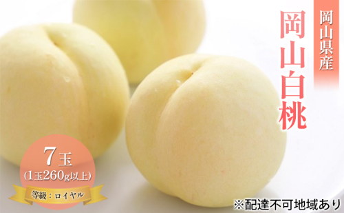桃 2025年 先行予約 岡山 白桃 7玉 約1.8kg 等級：ロイヤル（1玉 260g以上） もも モモ 岡山県産 国産 フルーツ 果物 ギフト 2064725 - 岡山県高梁市