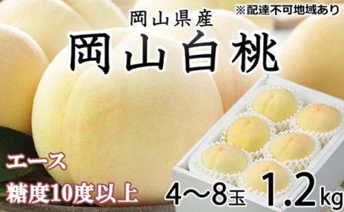 桃 2025年 先行予約 岡山 白桃 エース4～8玉 約1.2kg JAおかやまのもも（早生種・中生種） もも モモ 岡山県産 国産 フルーツ 果物 ギフト 2064735 - 岡山県高梁市
