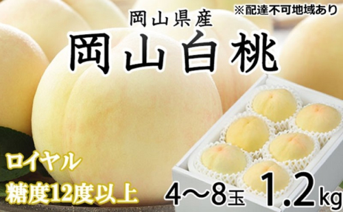 桃 2025年 先行予約 岡山 白桃 ロイヤル 4～8玉 約1.2kg JAおかやまのもも（早生種・中生種） もも モモ 岡山県産 国産 フルーツ 果物 ギフト 2064736 - 岡山県高梁市