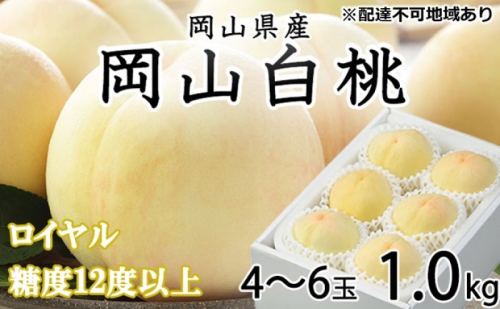 桃 2025年 先行予約 岡山 白桃 ロイヤル 4～6玉 約1kg JAおかやまのもも（早生種・中生種） もも モモ 岡山県産 国産 フルーツ 果物 ギフト 2064738 - 岡山県高梁市