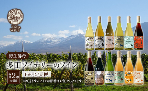 ワイン6ヵ月定期便◎月2本×6回◎多田ワイナリー◎野生酵母ワイン 北海道 上富良野町 ワイン 赤ワイン 白ワイン 微発泡ワイン オレンジワイン 2064781 - 北海道上富良野町