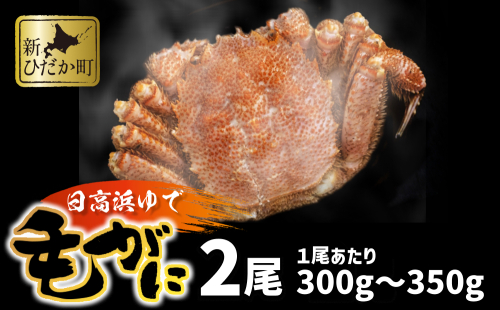 北海道産 浜ゆで 毛ガニ 2尾 計 600g 以上  1尾あたり 300g ～ 350g 北海道 冷凍 毛蟹 毛がに けがに かに 蟹 カニ かに味噌 カニ味噌 新鮮 旬 ボイル 浜茹で 海鮮 海産物 魚介 蟹味噌 みそ 新ひだか町 2065140 - 北海道新ひだか町