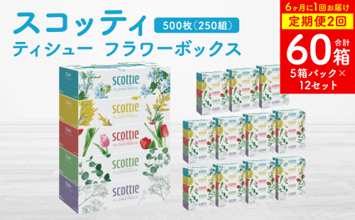 【定期便2回】【6ヶ月に1回お届け】【スコッティ】ティシュー フラワーボックス 250組 5箱パック×12セット 合計60箱 ティッシュ 日用品 生活必需品 消耗品 紙 まとめ買い ストック 備蓄 2065624 - 熊本県八代市