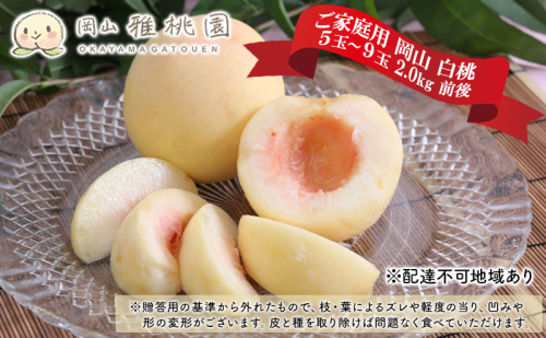 桃 2025年 先行予約 ご家庭用 岡山 白桃 5玉～9玉 2.0kg 前後 もも 岡山県産 国産 フルーツ 果物 雅桃園 2066094 - 岡山県里庄町