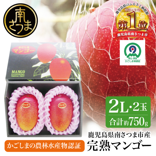 【鹿児島県産】 完熟マンゴー 2Lサイズ 2玉（化粧箱入り） ［数量・期間限定］ 国産 果物 フルーツ 旬 JAさつま日置 南さつま市 2067070 - 鹿児島県南さつま市
