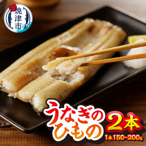 a15-647　珍しい「ウナギのひもの」【静岡産】 2067174 - 静岡県焼津市