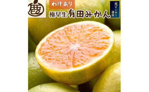 家庭用 極早生有田みかん10kg+250g（傷み補償分） 2067685 - 和歌山県有田川町