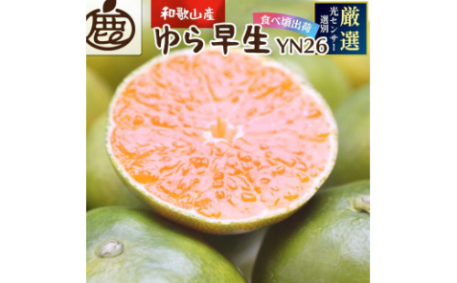 プレミアム 有田みかん（ゆら早生）7.5kg+250g（傷み補償分） 2067686 - 和歌山県有田川町