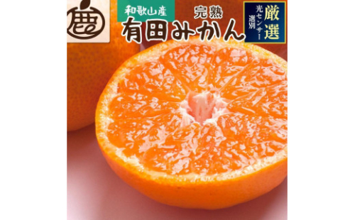プレミアム 有田みかん（完熟）10kg+250g（傷み補償分） 2067688 - 和歌山県有田川町