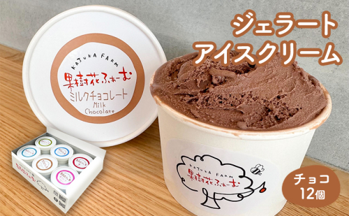 ジェラート チョコ 12個 アイス アイスクリーム スイーツ お菓子 菓子 おやつ 兵庫県 加西市 2067694 - 兵庫県加西市