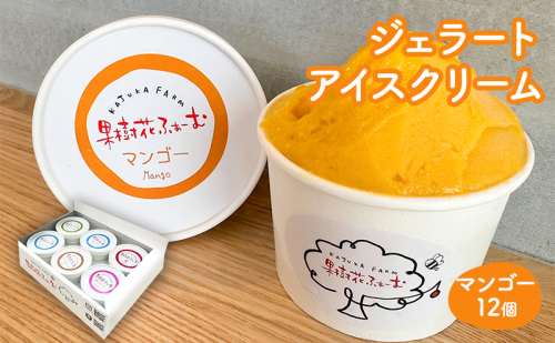 ジェラート マンゴー 12個 アイス アイスクリーム スイーツ お菓子 菓子 おやつ 兵庫県 加西市 2067698 - 兵庫県加西市