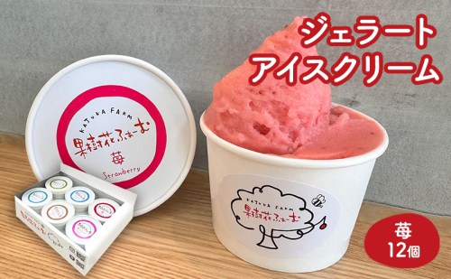 ジェラート いちご 12個 アイス アイスクリーム スイーツ お菓子 菓子 おやつ ストロベリー イチゴ 苺 兵庫県 加西市  2067700 - 兵庫県加西市