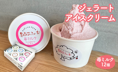 ジェラート いちごミルク 12個 アイス アイスクリーム スイーツ お菓子 菓子 おやつ いちごみるく いちご 苺 ミルク 兵庫県 加西市  2067702 - 兵庫県加西市