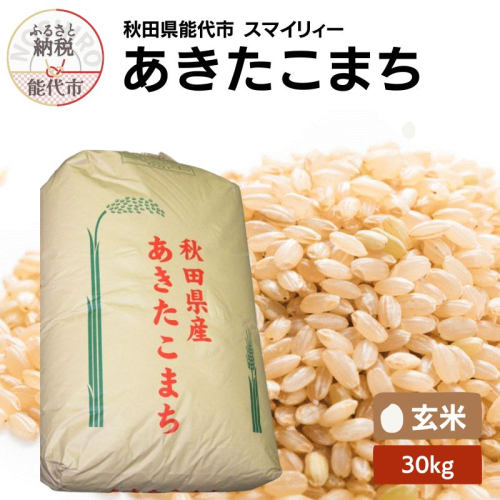 【先行予約】 令和7年産 あきたこまち 玄米 30kg 秋田県産 お米 米 ごはん ご飯 単一原料米 2067710 - 秋田県能代市