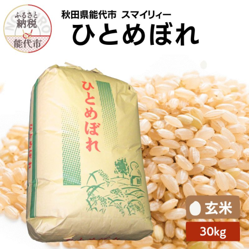 【先行予約】 令和7年産 ひとめぼれ 玄米 30kg 秋田県産 お米 米 ごはん ご飯 単一原料米 2067711 - 秋田県能代市