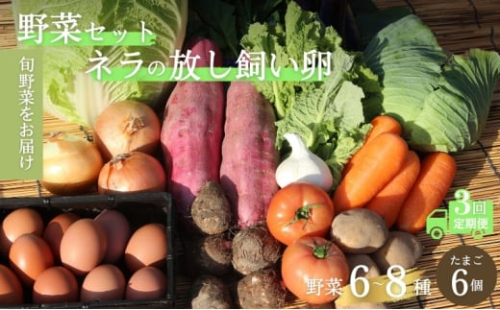 [№5334-0479]【定期便3回】野菜セット ネラの卵6個入り