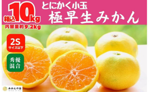 小玉みかん 極早生 箱込 10kg (内容量約 9.2kg) 2Sサイズ以下 秀品 優品 混合 有田みかん 和歌山県産 【みかんの会】　 2068289 - 和歌山県有田川町