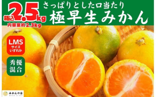 みかん 極早生 箱込 2.5kg (内容量約 2.3kg) S/M/Lサイズのいずれか 秀品 優品 混合 有田みかん 和歌山県産 【みかんの会】 2068290 - 和歌山県有田川町