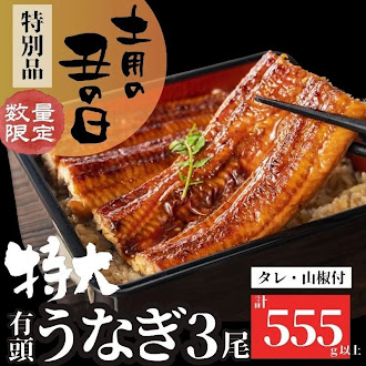  ＜先行受付 土用の丑の日＞うなぎ蒲焼・大(有頭)(3尾・計555g以上、タレ、山椒付) 2068459 - 鹿児島県肝付町