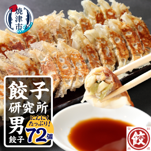 a11-146　餃子研究所　男餃子×6パック 2068696 - 静岡県焼津市