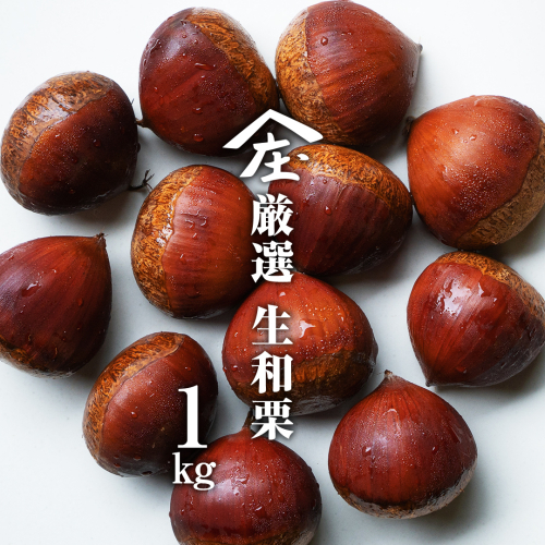 厳選 生和栗 1kg 【庄七農園】 栗 果樹 生栗 栗ご飯 渋皮煮 甘露煮 マロングラッセ フルーツ 茨城県 和栗 [BK40-NT] 2068710 - 茨城県つくばみらい市