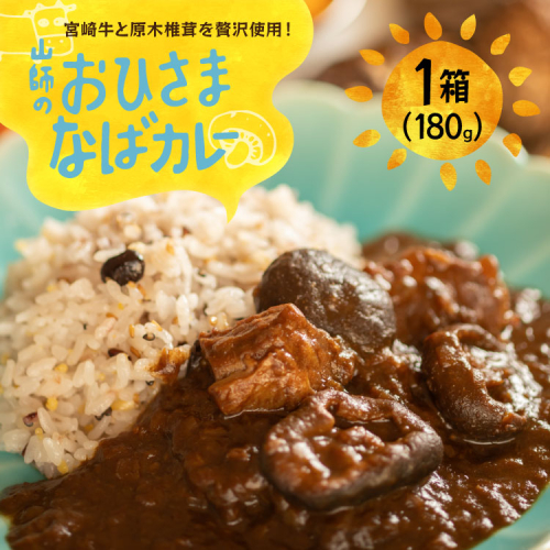 カレー レトルト 山師のおひさま なばカレー 宮崎牛 原木椎茸 使用 180g [HUTTE 宮崎県 美郷町 31ao0025] 常温保存 カレー 欧風カレー 常備食 保存食 防災 備蓄 非常食 防災食 簡単調理 2068789 - 宮崎県美郷町
