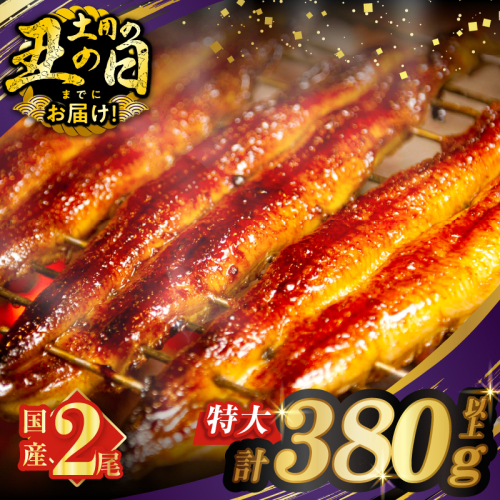 【丑の日までにお届け!!】うなぎ蒲焼特大2尾(さんしょう・たれ付き)計380g以上 鰻 魚 魚介 加工品 国産_T026-006-US 2069497 - 宮崎県都農町