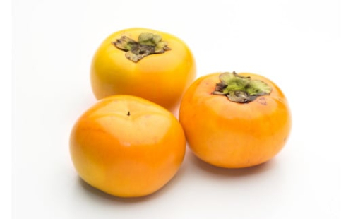 太秋柿 約2kg（4～10玉）柿 カキ 果物【2025年10月上旬～11月上旬発送予定】 2069587 - 熊本県益城町