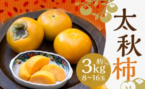 太秋柿 約3kg（8～16玉）柿 カキ 果物【2025年10月上旬～11月上旬発送予定】 2069588 - 熊本県益城町