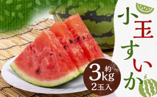 小玉 すいか 2玉入 約3kg【2025年5月下旬～6月上旬発送予定】 2069593 - 熊本県益城町