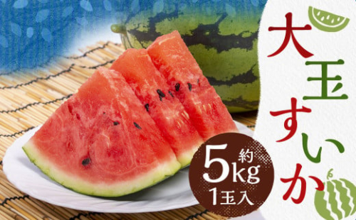 大玉 すいか 1玉入 約5kg【2025年4月下旬～7月上旬発送予定】 2069595 - 熊本県益城町