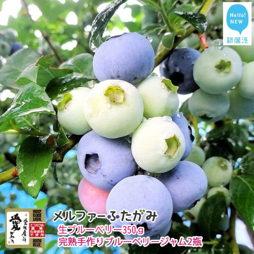 【先行予約】【期間限定】 旬にお届け 完熟生ブルーベリー 350g 完熟手作りブルーベリージャム 2瓶 セット メルファーふたがみ エコえひめ認証 【寄附受付：8月10日まで】 2069607 - 愛媛県新居浜市