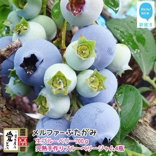 【先行予約】【期間限定】 旬にお届け 完熟生ブルーベリー 700g 完熟手作りブルーベリージャム 4瓶 セット メルファーふたがみ エコえひめ認証 【寄附受付：8月10日まで】 2069608 - 愛媛県新居浜市