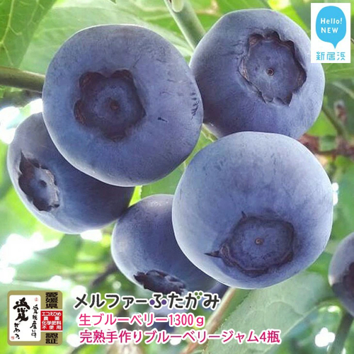 【先行予約】【期間限定】 旬にお届け 完熟生ブルーベリー 1300g 完熟手作りブルーベリージャム 4瓶 セット メルファーふたがみ エコえひめ認証 【寄附受付：8月10日まで】 2069609 - 愛媛県新居浜市