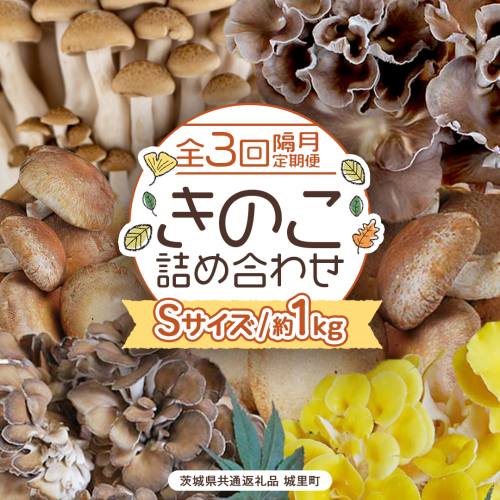 《 全３回 隔月定期便 》  きのこ の 詰め合わせ Sサイズ 約1kg （茨城県共通返礼品 城里町） 定期便 キノコ 舞茸 あわび茸 たもぎ茸 しいたけ ぶなしめじ セット 鍋 炒め物 [CX008sa] 2069613 - 茨城県桜川市