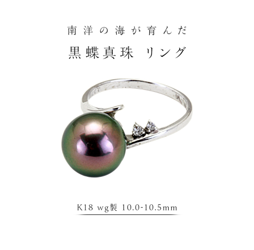 南洋の海が育んだ 黒蝶真珠 リング （ K18 wg製 10.0-10.5mm ） フォーマル 冠婚葬祭 結婚式 真珠 パール ダイヤモンド リング 指輪 アクセサリー 18金 ギフト 記念 贈り物 贈答用 アクセサリー ジュエリー ジュエリーマーノ 桜川市 [AH145sa] 2069615 - 茨城県桜川市