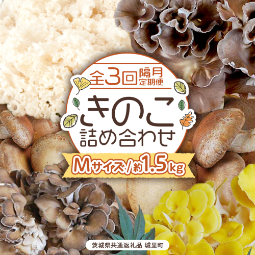 《 全３回 隔月定期便 》 きのこ の 詰め合わせ Mサイズ 約1.5kg （茨城県共通返礼品 城里町） 定期便 キノコ 舞茸 あわび茸 たもぎ茸 しいたけ 花びら茸 セット 鍋 炒め物 [CX009sa] 2069671 - 茨城県桜川市
